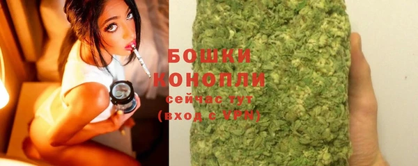 шишки Белокуриха