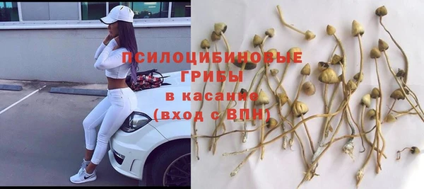 твердый Белоозёрский