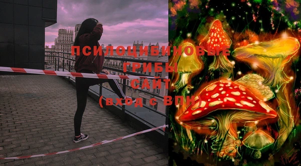 твердый Белоозёрский