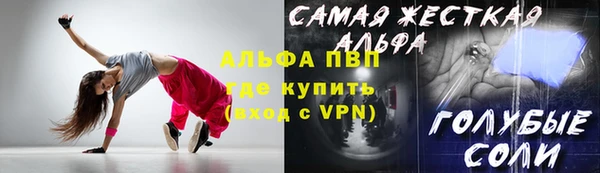 шишки Белокуриха