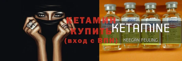 шишки Белокуриха