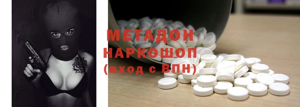 шишки Белокуриха
