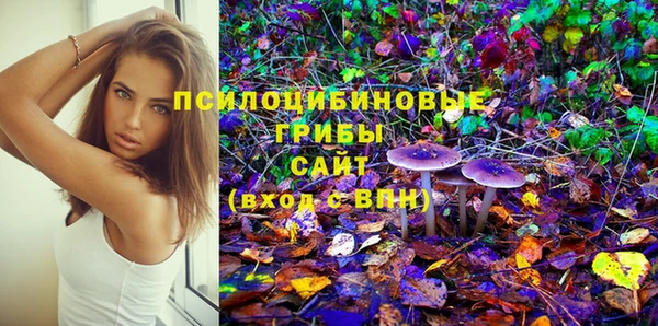 шишки Белокуриха