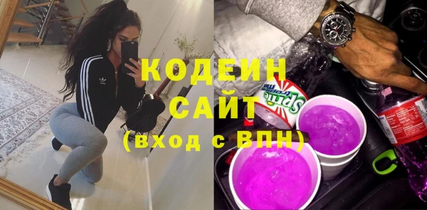 шишки Белокуриха