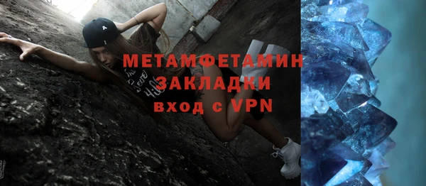 шишки Белокуриха