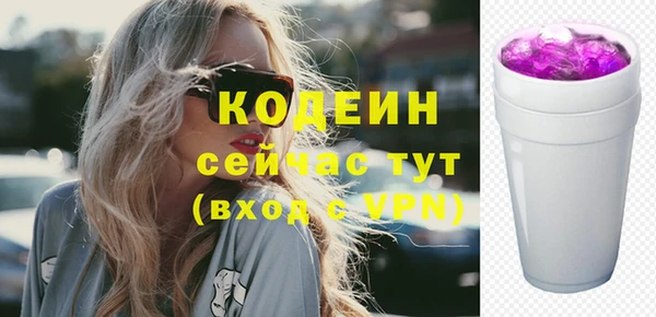 шишки Белокуриха